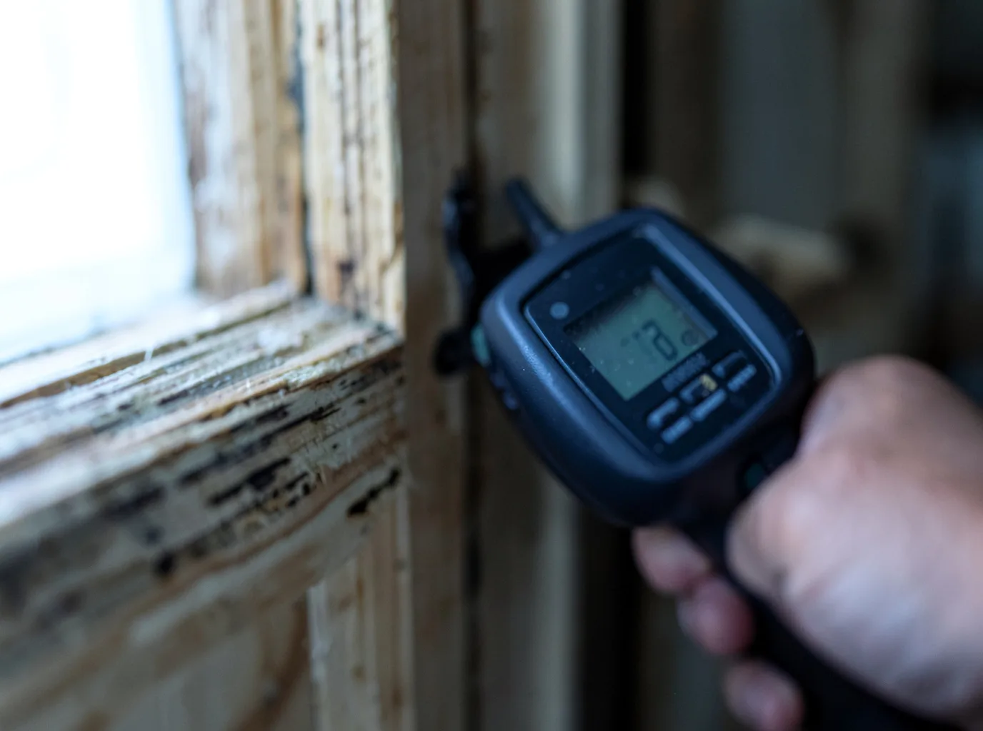 Moisture Inspection And Documentation in Mclemoresville, TN